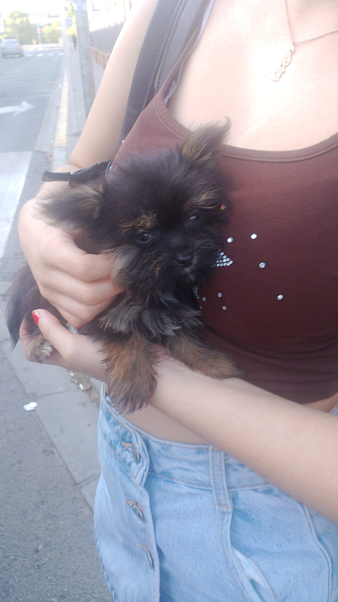 Adoptar a Loki fue una experiencia maravillosa de principio a fin. Yoli me acompañó en todo el proceso con mucha dedicación y cariño, lo que hizo que todo fuera fácil y muy especial. Loki llegó a casa lleno de amor y confianza, y no podríamos estar más felices. ¡Gracias por ayudarnos a encontrar a este compañero tan especial!🐕