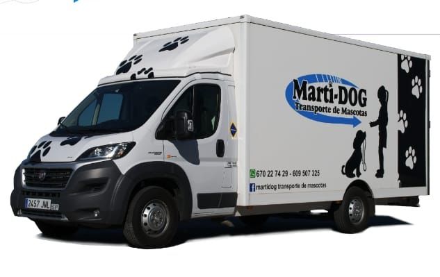 Trabajamos con esta empresa que nos da máxima confianza y los clientes super contentos con el trato y con el amor que leda y como los  cuida de nuestros bebe .Muchas gracias José por ser como eres .🐕