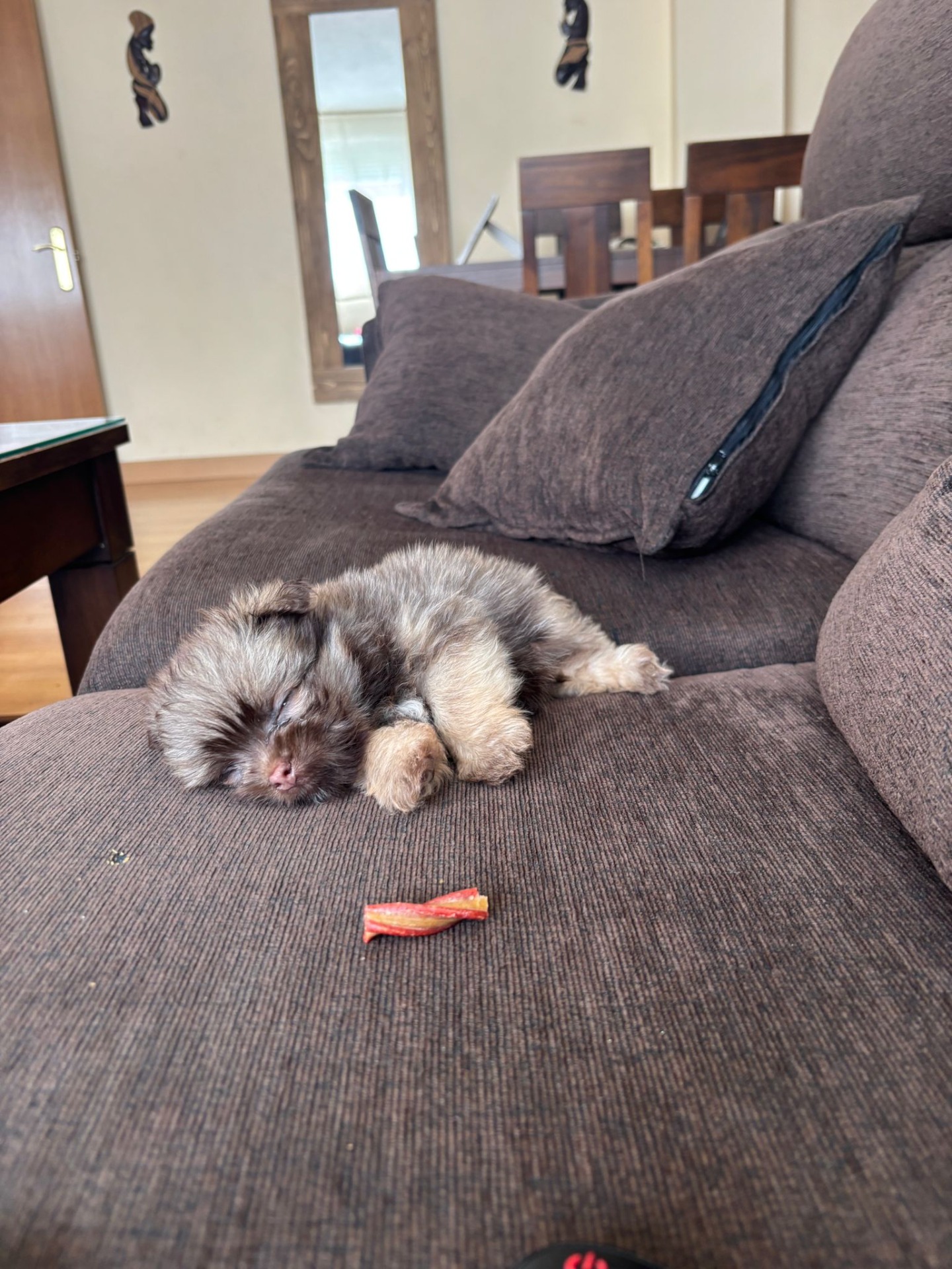 Una mujer encantadora me ha cuidado el perrito muy amable y muy atenta, un lugar para recomendarUn sitio perfecto la verdad que un trato muy familiar muy amable el perro está muy gordito y muy bonito me lo ha cuidado perfectamente y no he tenido ni un solo problema con ellos todo lo contrario ha sido un placer un sitio para recomendar a cualquiera le doy un 10 