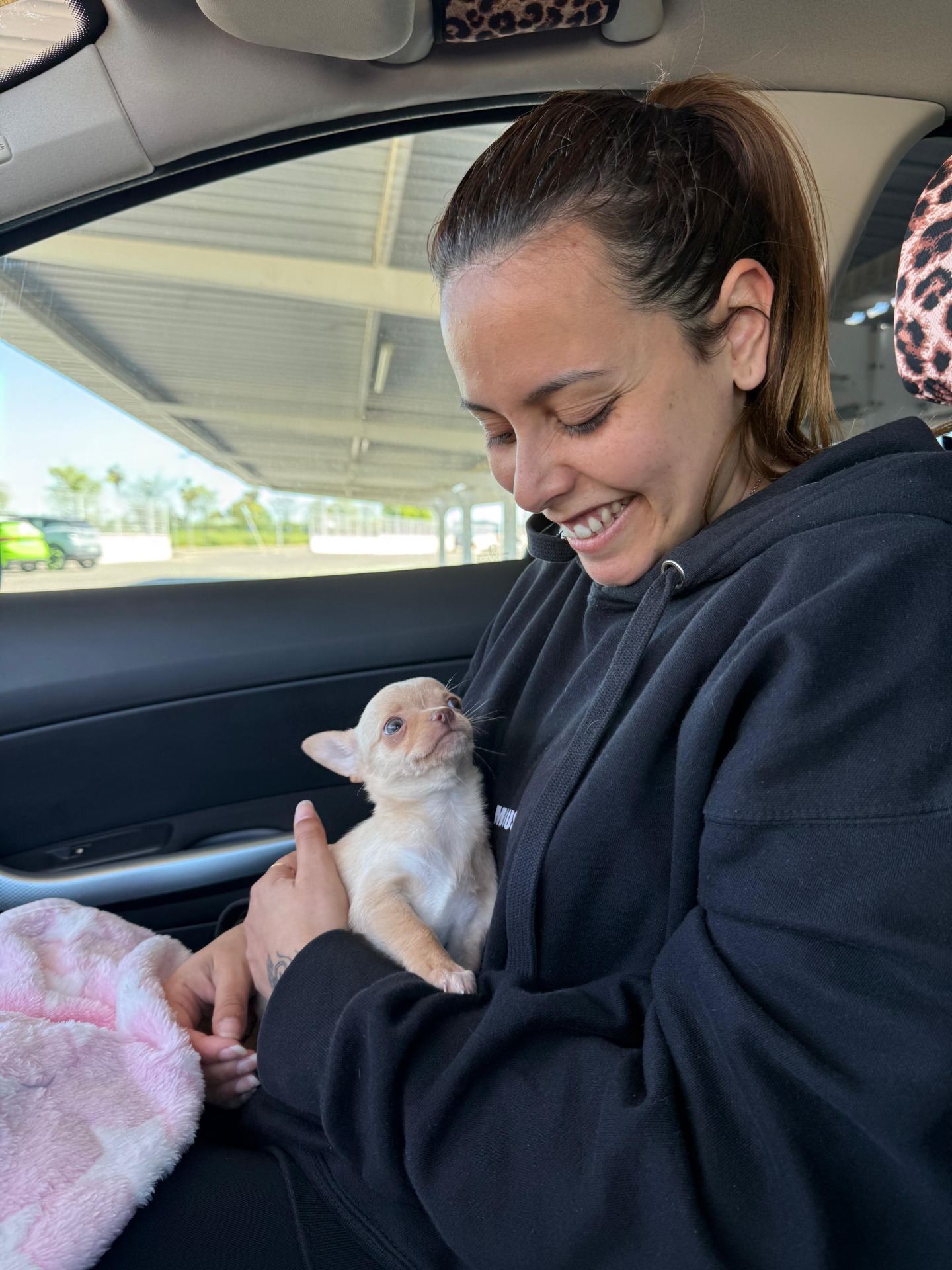 Fecha 05/04/26 Después de haber tenido malas experiencias en otros sitios, encontré este lugar donde Yolanda, una mujer encantadora nos atendió muy bien desde el primer momento, cediendo hacer videollamada para mostrarme los cachorros, siempre dispuesta a resolver todas las dudas en todos los momentos, además desde el momento de la reserva hasta poder recoger el cachorro nos fue mandando fotos y vídeos de cómo iba siendo su evolución!  Estamos muy emocionados porque al fin tenemos a nuestro nuevo miembro de la familia! Mia!