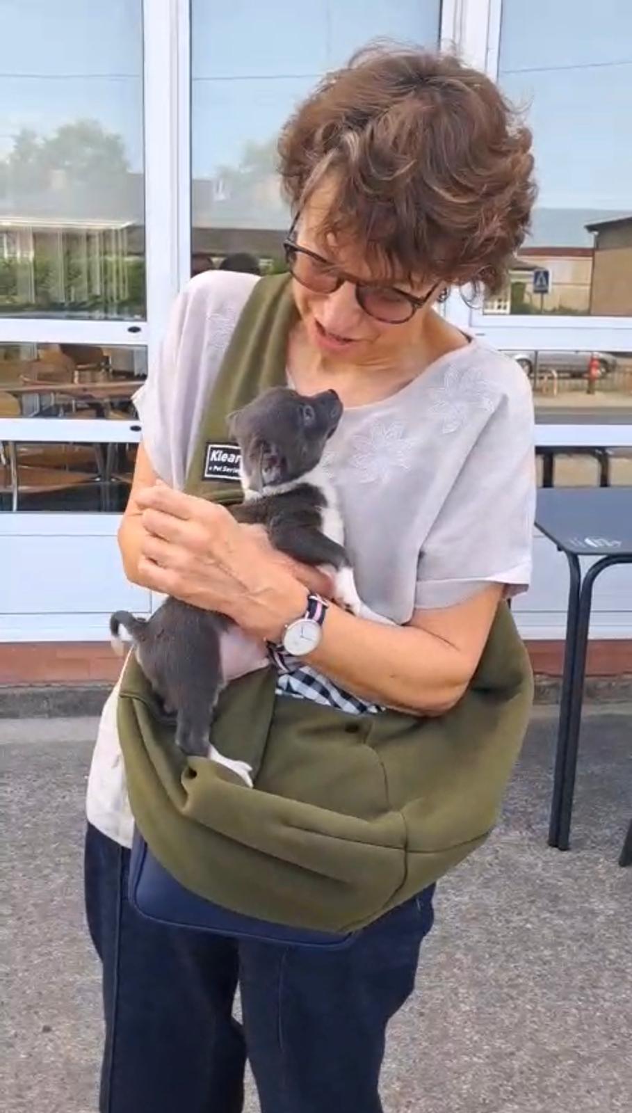 26/05/2026 . Buscando a mi compañero de piso me encontré a Yolanda. Desde el primer momento me transmitió el calor del hogar donde crió a mi Chisco. Pude ver a su padre (olé pal perro), a la madre, los hermanitos y otros perros, como interactuaban. La felicidad de sus rabitos en modo molinillo:) Me pasó vídeos, incluso de la última visita a la veterinaria. Chisco era una fiesta. Se dejó poner el microchip sin un ay. Yolanda me facilitó todos los datos posibles, incluyendo un estupendo y específico transporte, que en todo momento respondió con rapidez y claridad a mis preguntas, como ella, por eso su confianza en él. Después de dos días en casa con paseos incluidos, puedo afirmar que todo era real. Chisco sigue feliz, cariñoso, confiado. Es un perro equilibrado con el que la convivencia es de lo más agradable.